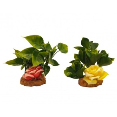 ΔΙΑΚΟΣΜΗΤΙΚΟ ΦΥΤΟ ΕΝΥΔΡΕΙΟΥ ΣΕ 2 ΧΡΩΜΑΤΑ 13CM